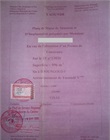 Plan de masse et de situation